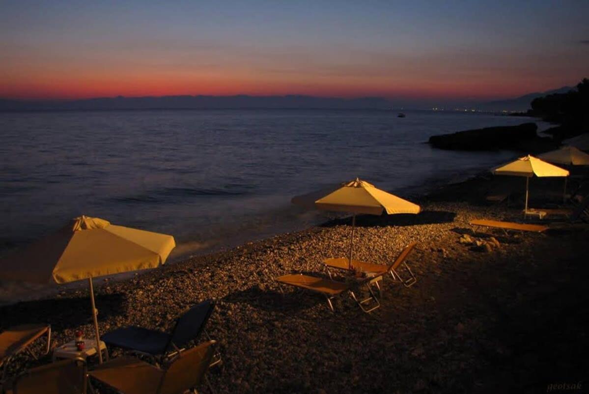 Seaside Family Haven - Avia'S Spacious Getaway エクステリア 写真